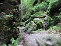 2010-06-12, Uttewalder Grund (39)